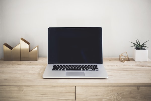 LG Gram 17" Laptop